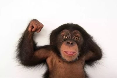 DashaSemerenko's profile picture. .