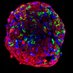 EASD Islet Study Group & BETA-CELL WORK SHOP 2019 (@isletsinox2019) Twitter profile photo EASD Islet Study Group & BETA-CELL WORK SHOP 2019 (@isletsinox2019) Twitter profile photo
