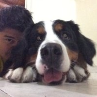 Mariano Roman (@mromanbj1905) 's Twitter Profile Photo Mariano Roman (@mromanbj1905) 's Twitter Profile Photo