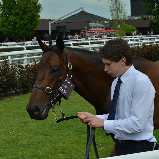 Ballarat Horse Trainer