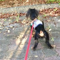 やっちょん@ (@yatti__3) 's Twitter Profile Photo やっちょん@ (@yatti__3) 's Twitter Profile Photo