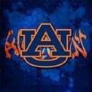 I am a huge Auburn and Orlando Magic fan!I luv tennis, basketball n hot guys...YEEEEEAAAA!!!