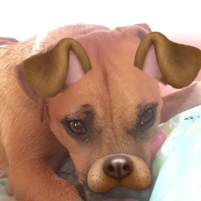 carlamck06's profile picture. wow