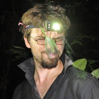 Andrius Pašukonis(@frog_tracker) 's Twitter Profile Photo