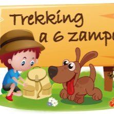 Travel & Mountain Blogger. 
Vi racconto i miei #viaggi a 6 zampe con #cani e #bimbi al seguito, su @babytrekking 
Siamo anche su Instagram e Facebook.