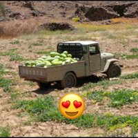 ابو زاكي (@g02mz) 's Twitter Profile