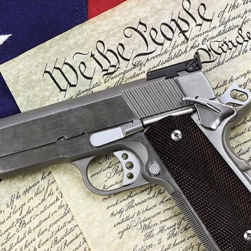 guncontrol_2's profile picture. This is a Twitter Page I am using for an English Project