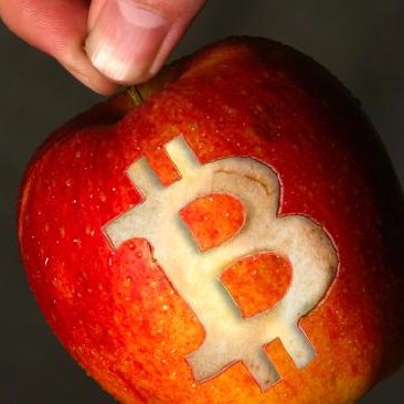 Learning #Bitcoins at the speed of light! #FollowMe and I #Followback! #Cryptocurrency power!