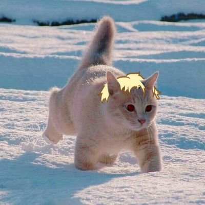 DG_chyo's profile picture. 섹욕알티트윗 많아요 덕캐 앓이 덕질 많아요 너희를 사랑해