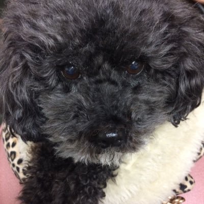 ljwillis49's profile picture. 