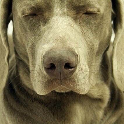 marcoplaza's profile picture. 