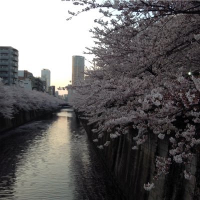 shimapan3's profile picture. 仕事は企業向けIT関連。