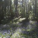 Robert Saunders - @bobby_saunders - Twitter