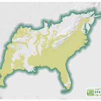 Southeastern Grasslands Initiative (@segrasslands) 's Twitter Profile