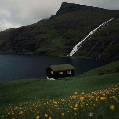 asmaamahdy4's profile picture. إذا صح منك الود ... فالكل هين 💖🙏