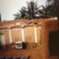 خلوق القصيم (@pghbbksn2ph3xxd) 's Twitter Profile