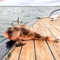 Martin (@martinrush22) 's Twitter Profile Photo