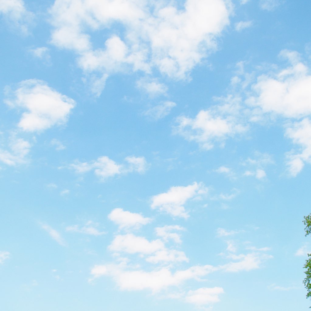 自己プロデュースを模索するアカウント / 春夏→夏(ほぼいらないけど2nd冬)→16分割クール冬夏(冬ビビ◎) / ガリボイアバ同点(全振りもmixも可) / ソフエレ(僅差で大人、直曲同点) / 骨スト(厚み少なめでナチュ要素あり) / 全てプロ診断