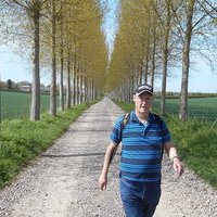 Steve Potts (@brit_bob) 's Twitter Profile