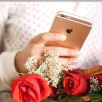 همس الغلا (@hamsalgla88) 's Twitter Profile