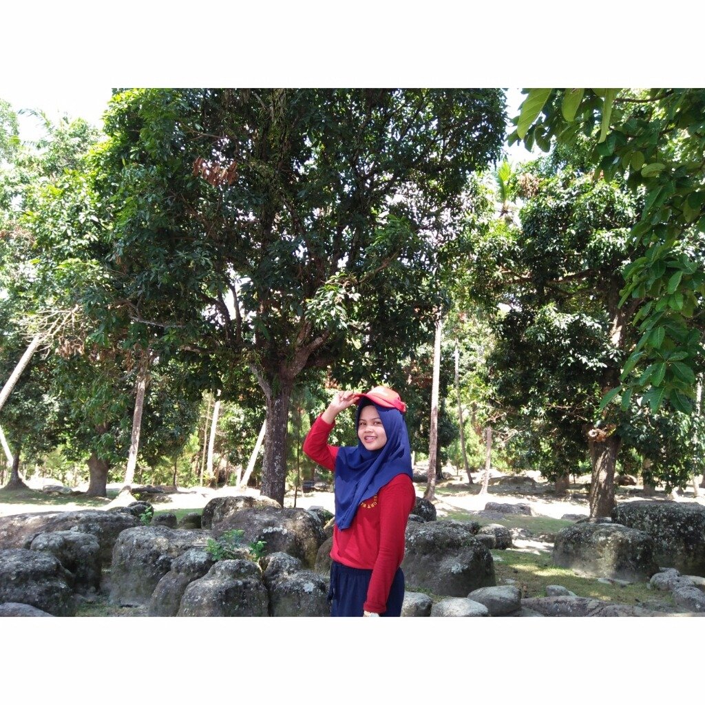 riskhawathy1's profile picture. 