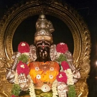 divyam40715428's profile picture. Government and Politics