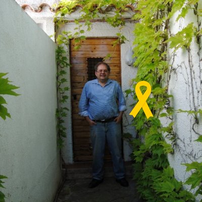 Albert Mestre Profile