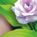 Olá! Sou a Giu Flores e estou aqui para ajudá-los com dicas e novidades sobre flores e presentes! Quem quiser, fique à vontade para bater um papo comigo!