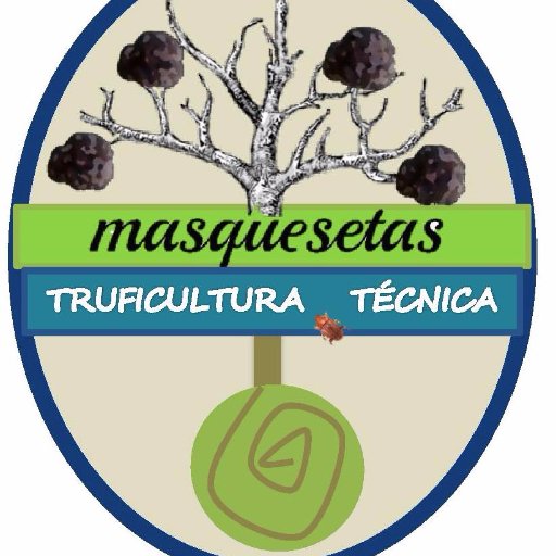 masquesetas's profile picture. Truficultura Técnica. Análisis de planta micorrizada. Planes Técnicos. Trabajos forestales. 
#soyforestal