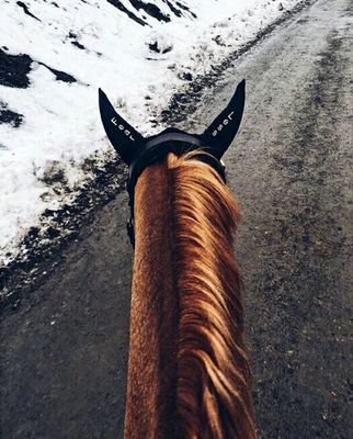 MMA4448's profile picture. 