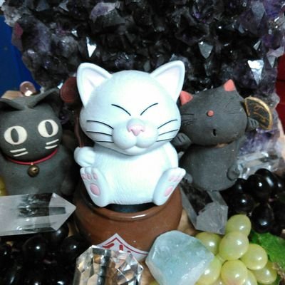 猫叉山 (@nekomatayama7) / X 猫叉山 (@nekomatayama7) / X