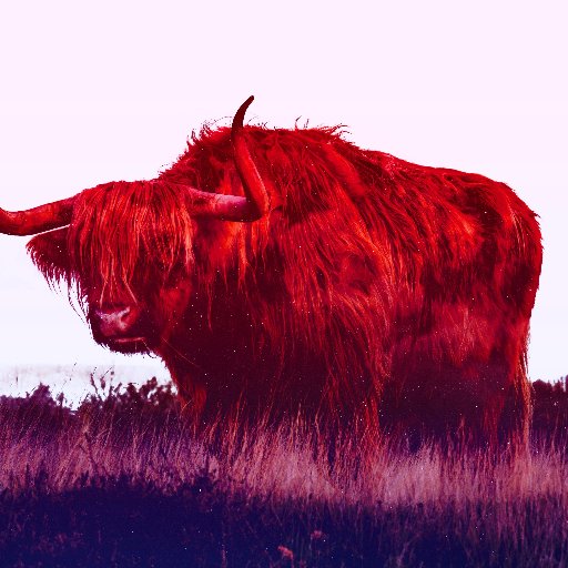 kelermorph's profile picture. 