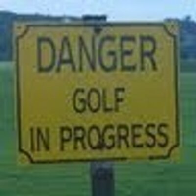 lionwedge's profile image