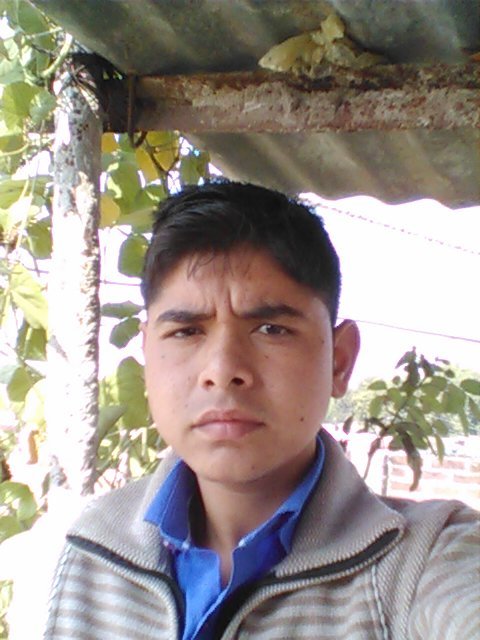I am study in graduation&its my life my rules i want to become a civil officer