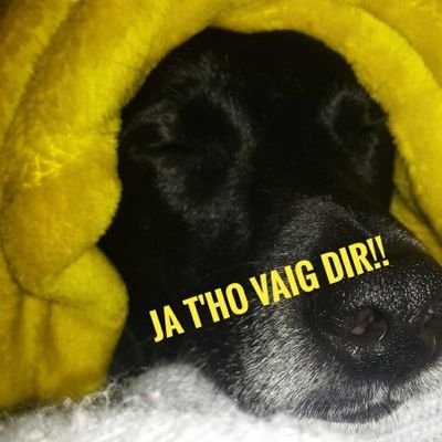 jathovaigdir's profile picture.