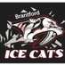 Brantford Ice Cats (@BGHAIceCats) Twitter profile photo