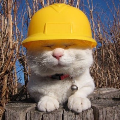 fuzzykittenOHS's profile picture. A commitment to safety and all things reflective.