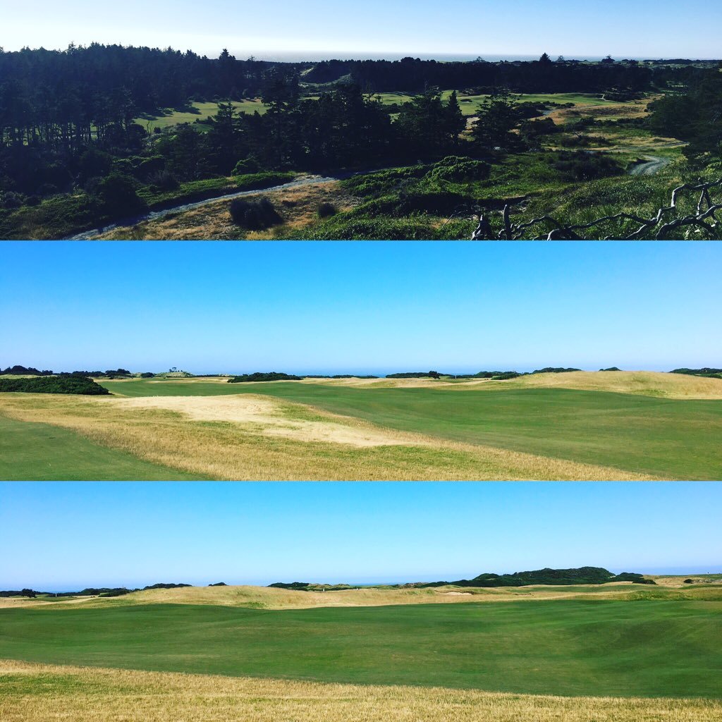 Daburgh21's profile picture. 