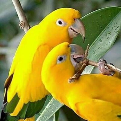 Snehalk55280798's profile picture. 