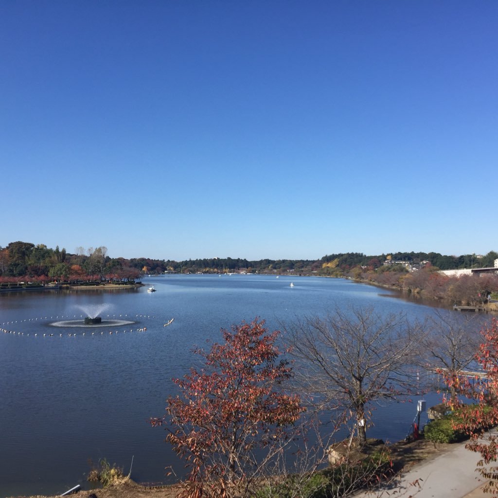 t32989's profile picture. 