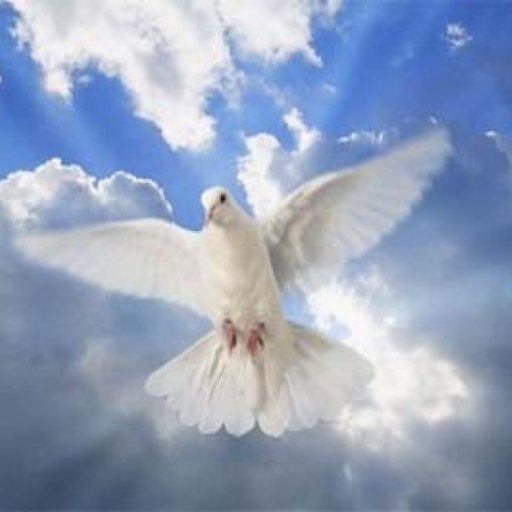 1967fishes's profile picture. I am an Artist -- I paint, sculpt, and make jewelry.  I am also interested in learning about Angel crystal healing.