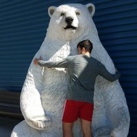 F**k12 (@jacobsprez) 's Twitter Profile