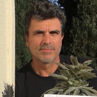 Robert Joel Akelian (@rjakelian) 's Twitter Profile