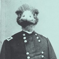 GeneralEmu (@generalemu) 's Twitter Profile