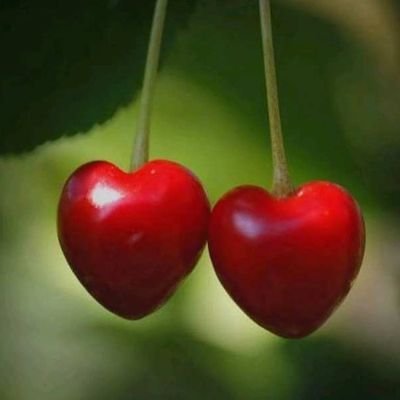 OpPoRtUnItY143's profile picture. ★█▀░█▀█░█░░█░░█▀█░█░█░█★ ★█▀░█▄█░█▄░█▄░█▄█░█▄█▄█★ ██▓▒░F░O░L░L░O░W░░M░E░▒▓█