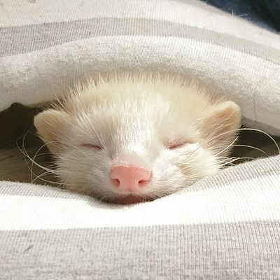 funkstyle1026's profile picture. 