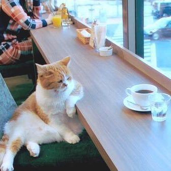 猫好きで知られている田中遼です！趣味はサーフィンでよくTOKIOの山口達也に似てるっていわれます。明大の人、仲良くしてください！