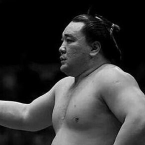 Yo he venido a hablar de sumo.

En esta casa se respeta a Shonanzakura, yokozuna del pueblo y patrón de los perdedores.

Escribo y hablo sobre sumo! はっけよい! 🔽