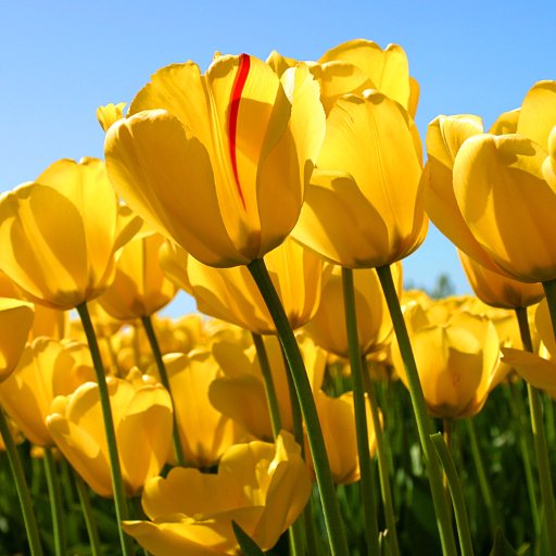 Aldeajeny's profile picture. 