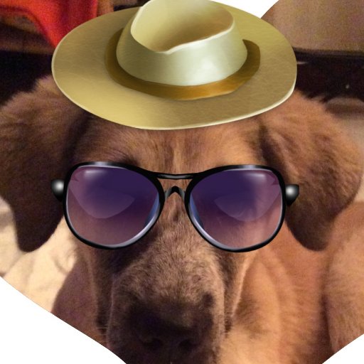 JavierPayar's profile picture. 